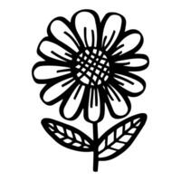 simple doodle flower, black and white ink pen drawing. vector