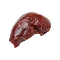 ai generado hígado humano Organo aislado en transparente antecedentes png