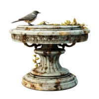 AI generated Birdbath png isolated on transparent background