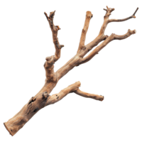 AI generated Wooden branch isolated on transparent background png