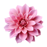 ai généré 3d style coloré fleur isolé sur transparent Contexte png