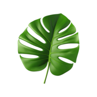 AI generated Monstera plant green leaf isolated on a transparent background png