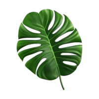 AI generated Monstera plant green leaf isolated on a transparent background png