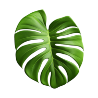 AI generated Monstera plant green leaf isolated on a transparent background png