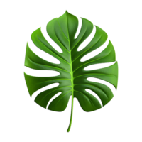 AI generated Monstera plant green leaf isolated on a transparent background png