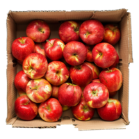 AI generated Apples in cardboard box isolated on transparent background png