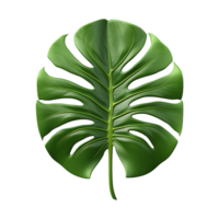 AI generated Monstera plant green leaf isolated on a transparent background png