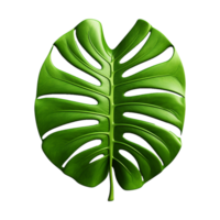 AI generated Monstera plant green leaf isolated on a transparent background png