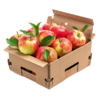 AI generated Apples in cardboard box isolated on transparent background png