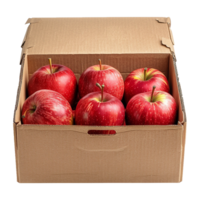 AI generated Apples in cardboard box isolated on transparent background png