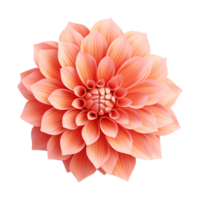 ai generiert 3d Stil bunt Blume isoliert auf transparent Hintergrund png