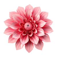 ai généré 3d style coloré fleur isolé sur transparent Contexte png