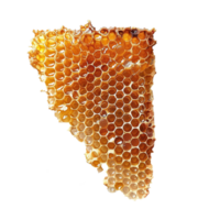 ai generiert Bienenwabe png isoliert auf transparent Hintergrund