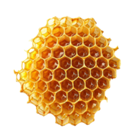 ai generiert Bienenwabe png isoliert auf transparent Hintergrund