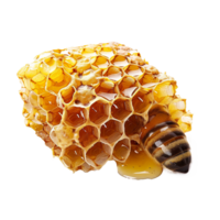 ai generiert Bienenwabe png isoliert auf transparent Hintergrund