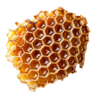 ai generiert Bienenwabe png isoliert auf transparent Hintergrund