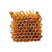 ai generiert Bienenwabe png isoliert auf transparent Hintergrund