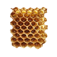 ai generiert Bienenwabe png isoliert auf transparent Hintergrund