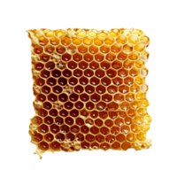 ai generiert Bienenwabe png isoliert auf transparent Hintergrund