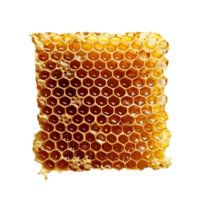 AI generated Honeycomb png isolated on transparent background