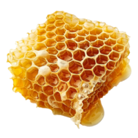 AI generated Honeycomb png isolated on transparent background