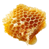 ai generiert Bienenwabe png isoliert auf transparent Hintergrund