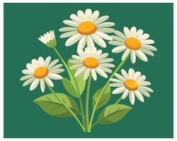 Cartoon Daisy Flower Vector Design On White Background illustration