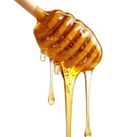 AI generated Honey dripping png isolated on transparent background