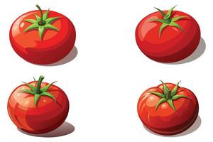 Red tomatoes set vector design illustration