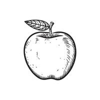 a black and white drawing of an apple vector