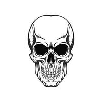 a black and white drawing of a skull vector