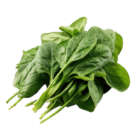 AI generated spinach Studio Shot Isolated on transparent Background, Food Photography, png