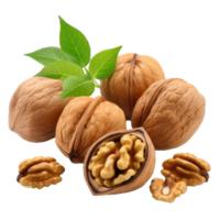 AI generated Walnut Studio Shot Isolated on transparent Background, Food Photography, png