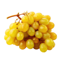 AI generated Bunch of purple grapes isolated on transparent and white background png