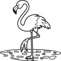 Flamingo coloring pages. Flamingo outline vector for coloring book