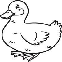 Duck coloring pages. Duck outline vector for coloring book