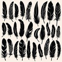 Feather silhouette illustration ink drawing vector art