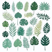 Exotic leaves set vector collection