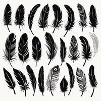 Feather silhouette illustration ink drawing vector art