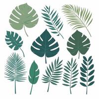 Exotic leaves set vector collection