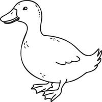 Duck coloring pages. Duck outline vector for coloring book