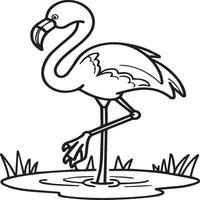 Flamingo coloring pages. Flamingo outline vector for coloring book