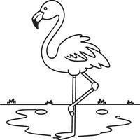 Flamingo coloring pages. Flamingo outline vector for coloring book