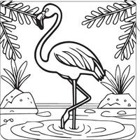 Flamingo coloring pages. Flamingo outline vector for coloring book