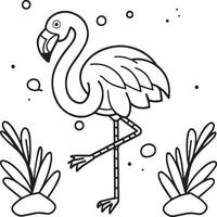 Flamingo coloring pages. Flamingo outline vector for coloring book