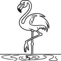 Flamingo coloring pages. Flamingo outline vector for coloring book