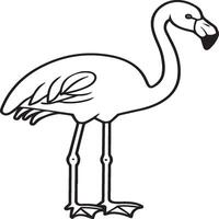 Flamingo coloring pages. Flamingo outline vector for coloring book