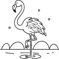 Flamingo coloring pages. Flamingo outline vector for coloring book