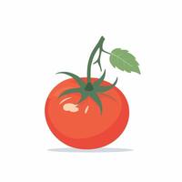 Tomato clip art vector illustration