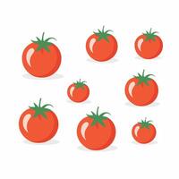 Tomato clip art vector illustration